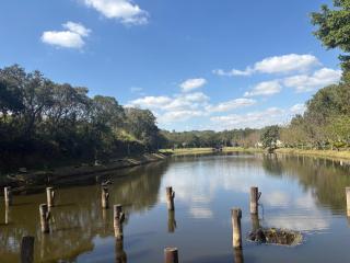 Chalé em camping - 1