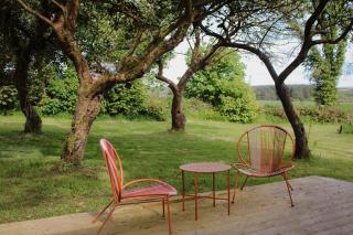 Lime cottage - Kilrush - 5