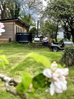 Lime cottage - Kilrush - 3