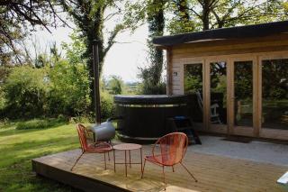 Lime cottage - Kilrush - 2