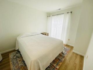 Olive avenue 1b - Rehoboth Beach - 8