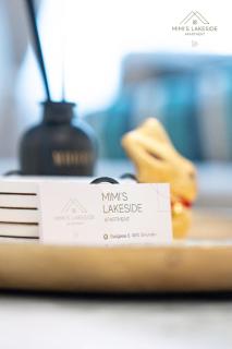 MIMIs Lakeside Apartment - NEWLY RENOVATED - Gmunden - 3