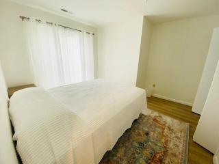 Olive avenue 1b - Rehoboth Beach - 2