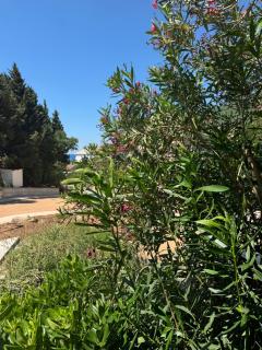 Apartman Luka5 - Petrovac na Moru - 5
