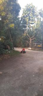 Buddle Camping Ground - Nukualofa - 3