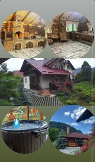 Casa Ungurianu - Câmpulung Moldovenesc - 2