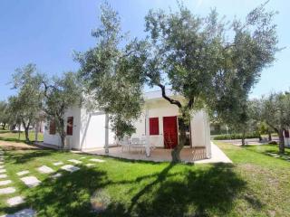 Apartments in Monte Sant'Angelo - Apulien 51080 - Monte SantʼAngelo - 7