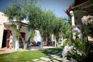 Apartments in Monte Sant'Angelo - Apulien 51080 - Monte SantʼAngelo - 5