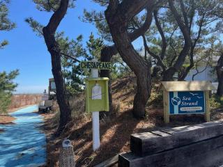 Sea strand court 3 #25 - Dewey Beach - 5