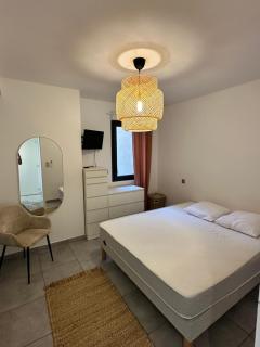 super appartement F3 avec jardin - Pietrosella - 3