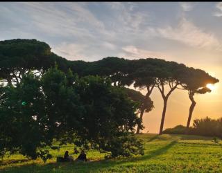Relax a Baratti -Populonia station - 8
