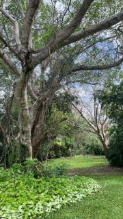 Cabañas la Granja Rincón de Guayabitos - Rincon de Guayabitos - 3