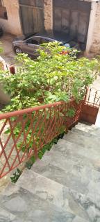Yorgo's Place - 9