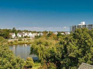 Virginia avenue 27 - Rehoboth Beach - 1