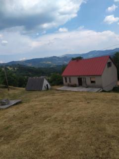 Ivica - - 4