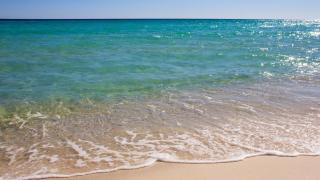 Great Rates Available NOW! / Relaxing Coastal Beach Home West PCB / 3Bd & 2Ba - 8