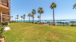 Sonoran Sea - Puerto Peñasco - 8