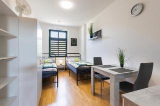 FLEX Aparts - möblierte 2-Raum Wohnung in Zwickau - Zwickau - 3
