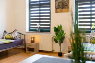 FLEX Aparts - möblierte 2-Raum Wohnung in Zwickau - Zwickau - 4