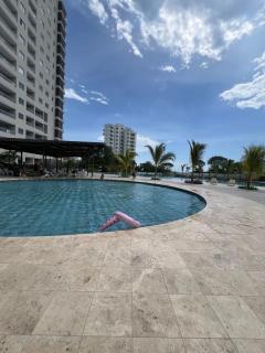 Book a luxury apartment! - - 1