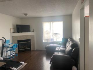 Basement Appartment - Edmonton - 7