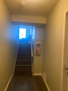 Basement Appartment - Edmonton - 2