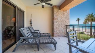 Sonoran Sea - Puerto Peñasco - 9