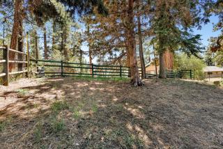 Three bears cabin #1574 - Big Bear Lake - 6