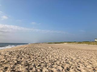 Hall avenue 33 - Rehoboth Beach - 7