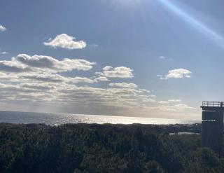 Hall avenue 33 - Rehoboth Beach - 3