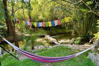 Cinco Lunas VEGETARIAN Guesthouse - 3