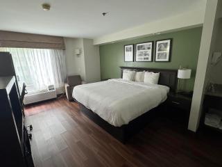 Broad St Inn - 3