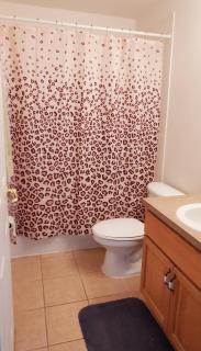 5 Bed Florida Villa - 2