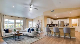 Heatherbrae Phoenix - Phoenix - 3