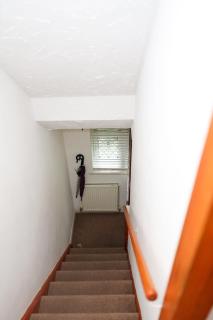 Racecourse Cottage - Bickley - 6