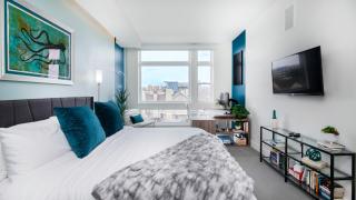 Level-Up Elegance | Espadin LoHi - 2