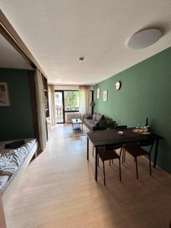 Gaishöll Chalet - Sasbachwalden - 7