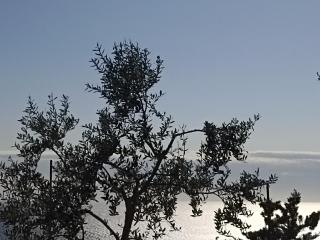 App Bonić - Veli Lošinj - 6