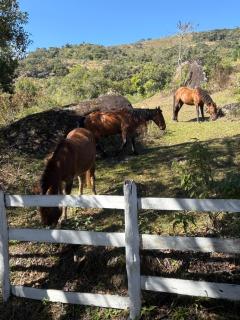 Suite Lua Crescente - 1