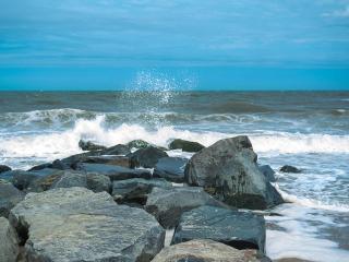 Columbia avenue 121 - Rehoboth Beach - 9