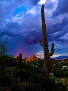 Camelback #102 Phoenix - 3