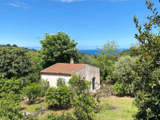 La Casina among the Oranges - - 0