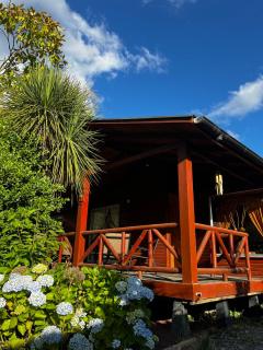 Cabaña Las Patagüas - Coñaripe - 3