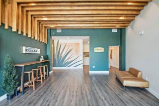 Relaxed Elegance | Espadin LoHi - 2