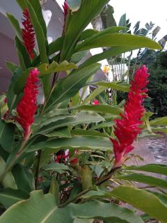 Doña Mayra Aparta Hotel - 5