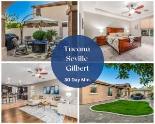 Tucana Seville Gilbert - Queen Creek - 6