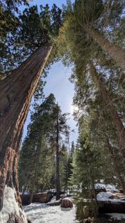 Peaceful Pines Place, a cozy mountain hideaway wAC - - 3
