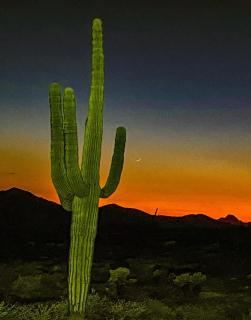 Kings Way #201 Fountain Hills - 1