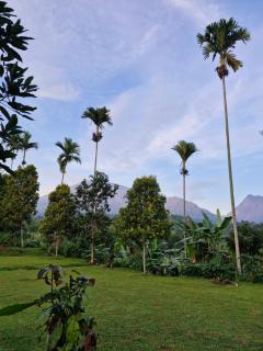 Sajang Valley Estate - Sajang - 2
