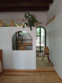 Tiki - Guanajuato - 1